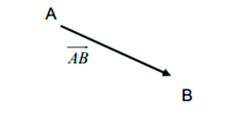 Características De Un Vector