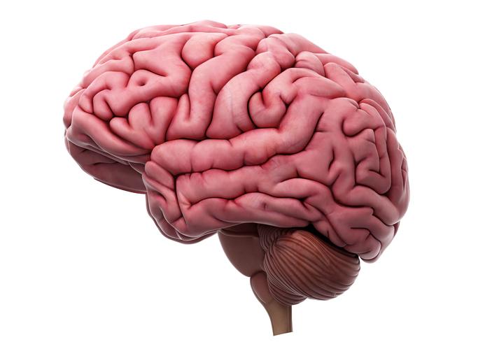 El Cerebro No Trabajará Igual