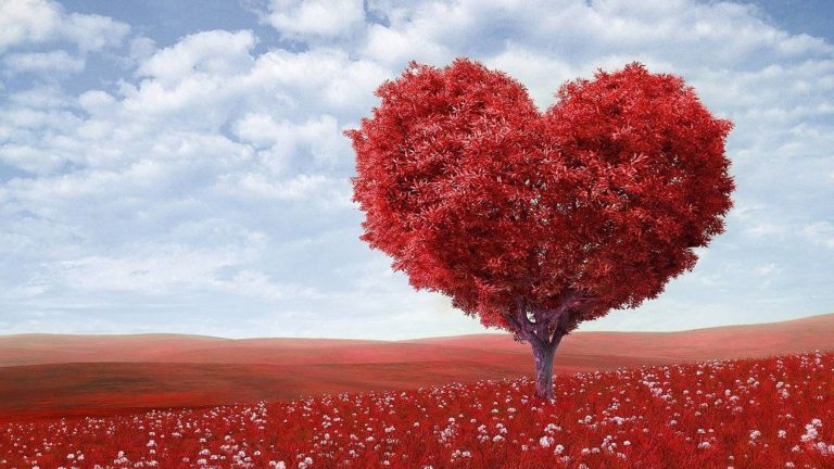 Los mejores juguetes para una noche de San Valentín con fuegos artificiales