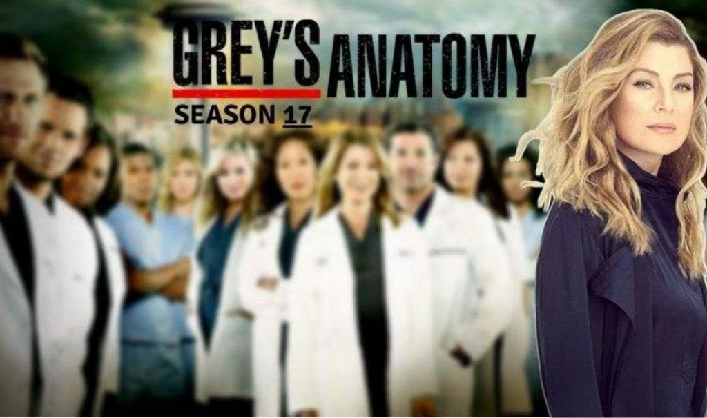 Temporadas Disponibles  Anatomía De Grey Disney+