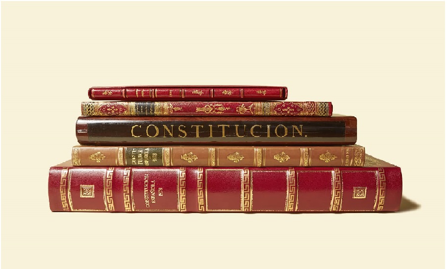 Tipos De Constitución