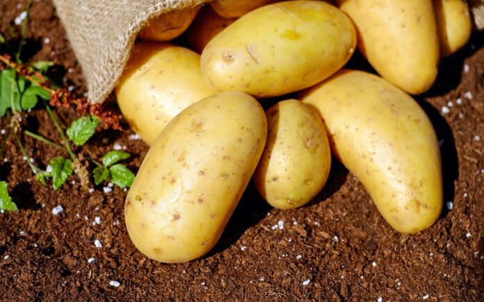 Beneficios De Las Patatas