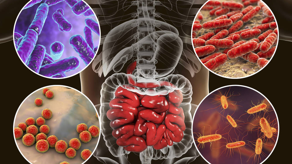 Por Qué Deberías Bajar La Tapa Del Wc Antes De Tirar De La Cisterna 3 Bacterias