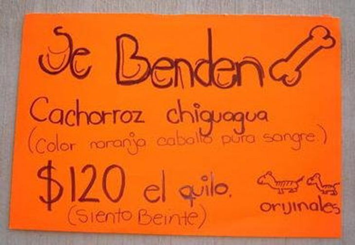 Diviértete Con Uno De Lso Carteles Más Bizarros De La Red: &Quot;Se Benden Cacharroz&Quot;