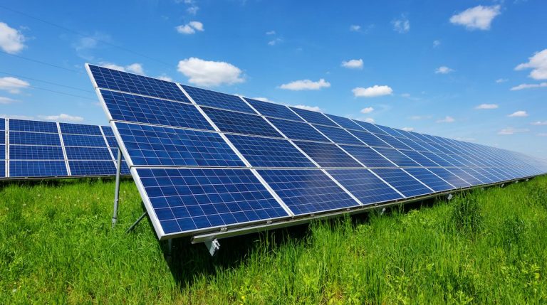 González Byass producirá energía renovable para impulsar la sostenibilidad de sus bodegas
