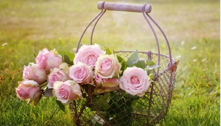 Consejos para decorar tu jardín