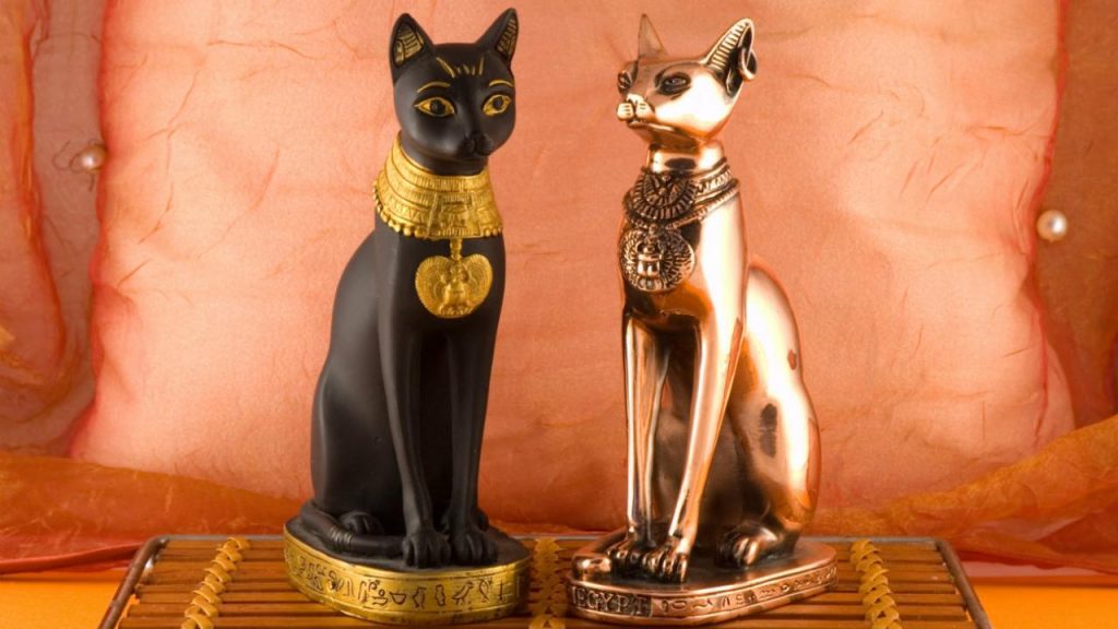 El Gato Era Un Animal Muy Venerado En Egipto.