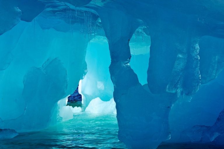 Descubren extrañas criaturas a 900 metros bajo el hielo antártico
