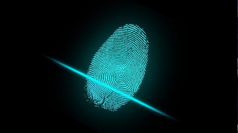 Código LEI: todo lo que hay que saber
