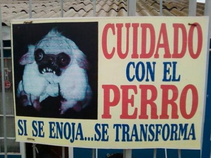 Un Perro Que Se Transforma