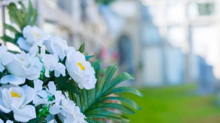 El norte peninsular registra temperaturas máximas primaverales