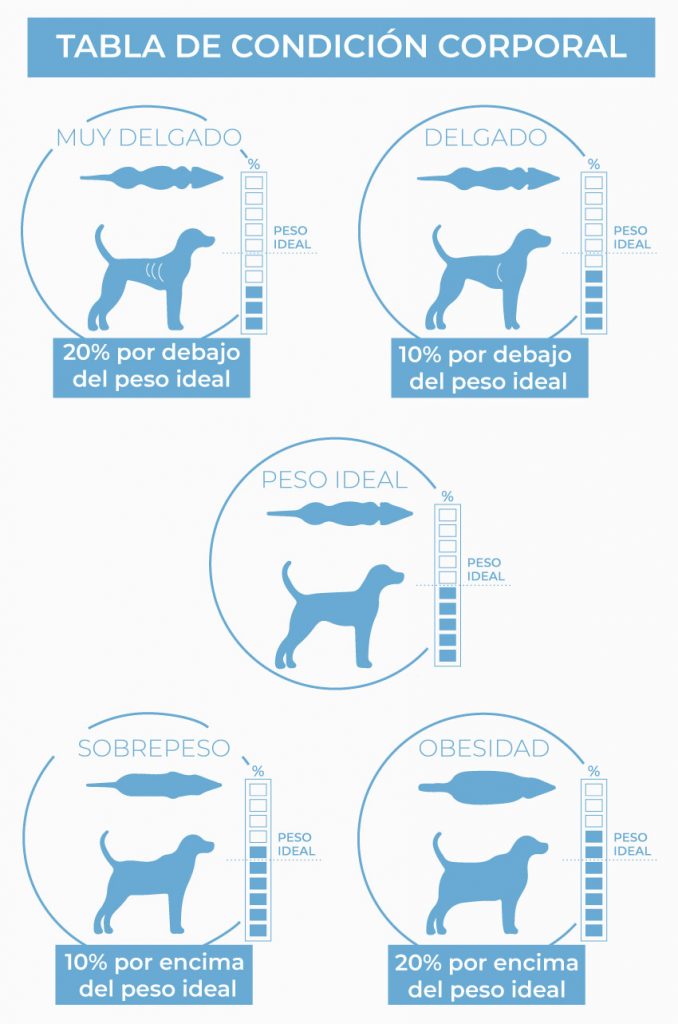 Tabla De Pesos 