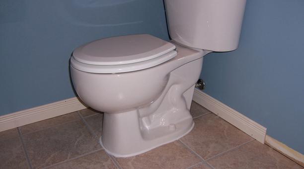 Por Qué Deberías Bajar La Tapa Del Wc Antes De Tirar De La Cisterna 2 Por Qué Deberías Bajar La Tapa Del Wc Antes De Tirar De La Cisterna