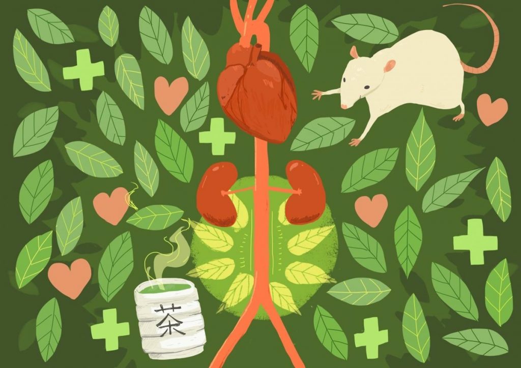 El Té Matcha Posee Numerosas Cualidades Y Propiedades Beneficiosas Para El Organismo.