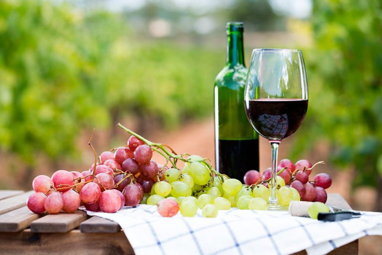 Bruselas ve «difícil» justificar más ayudas al vino, como pide España