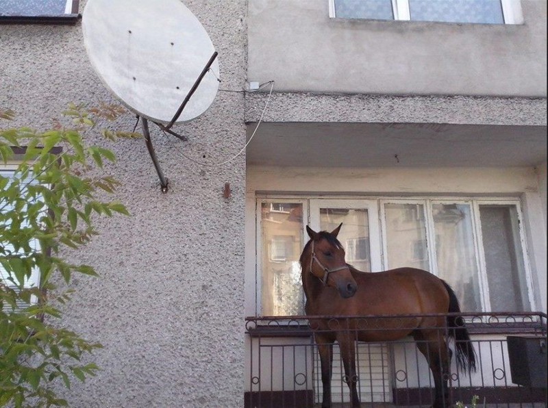 10 fotos que te parecerán un sinsentido 03
