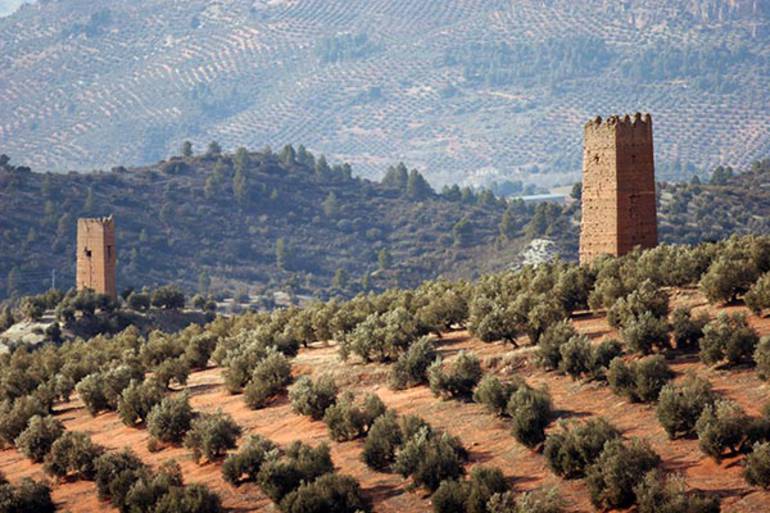 Jaén, La Tierra Del &Quot;Oro Líquido&Quot;