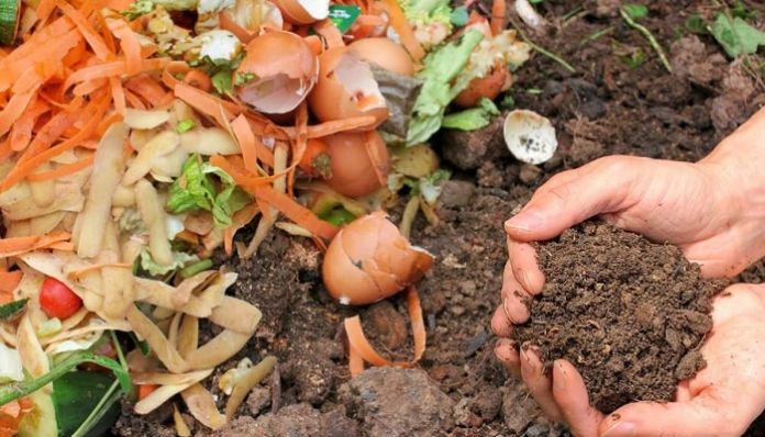 Fertilizantes Y La Nutrición De Las Plantas