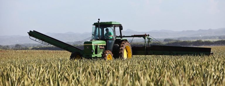 Agricultura asigna los nuevos derechos de la Reserva Nacional de pago básico