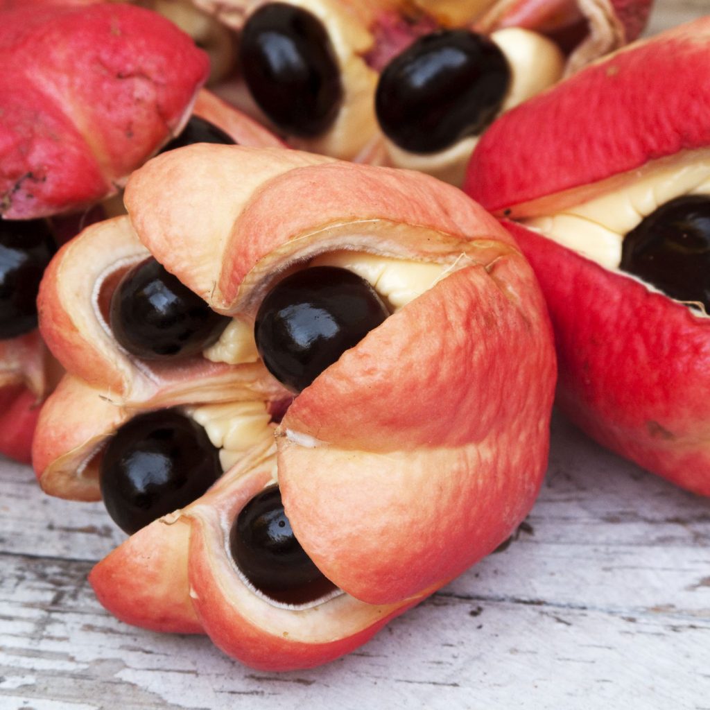 ¿Cuál Es El Problema Con Este Alimento?