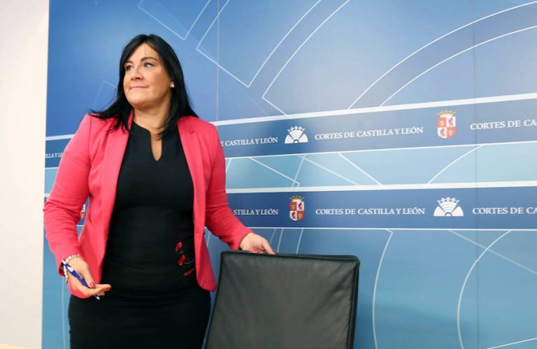 PSOECyL felicita a Murcia por «sacar la decadencia de las instituciones»