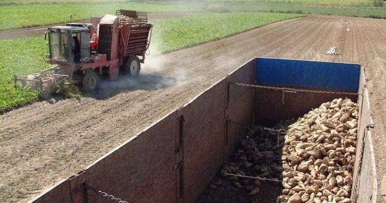 Azucarera pagará a los agricultores la diferencia en la liquidación de la campaña 19/20