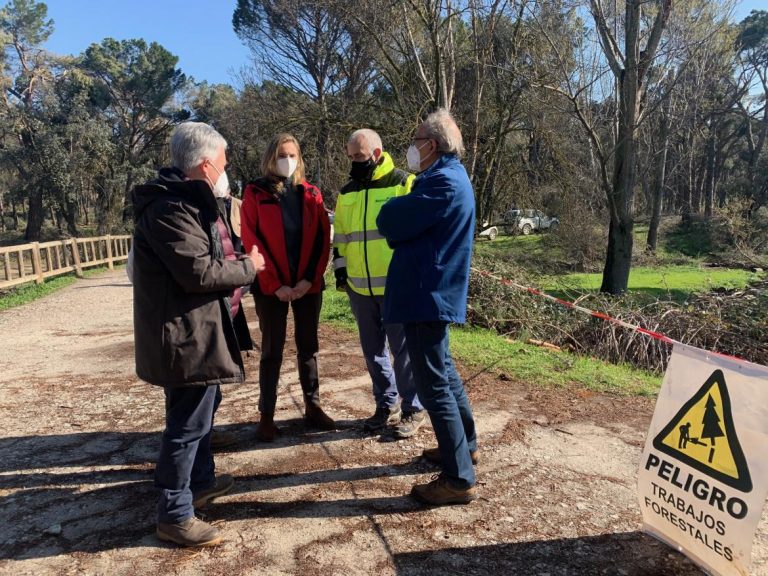 C. Madrid actuará sobre más de 600 hectáreas dañadas por la borrasca ‘Filomena’
