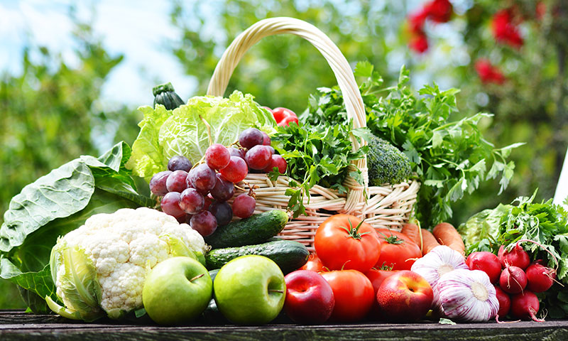 Características Y Ventajas De La Dieta Plant Based
