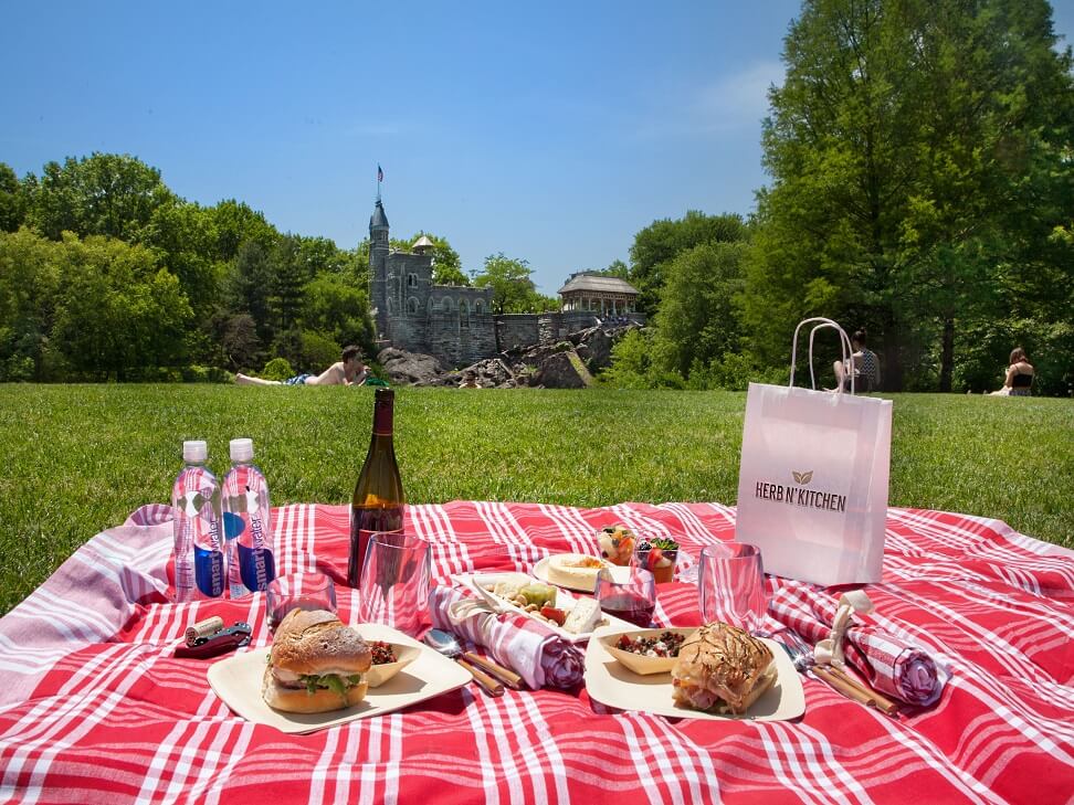 Los Picnics Y Las Salidas A La Playa