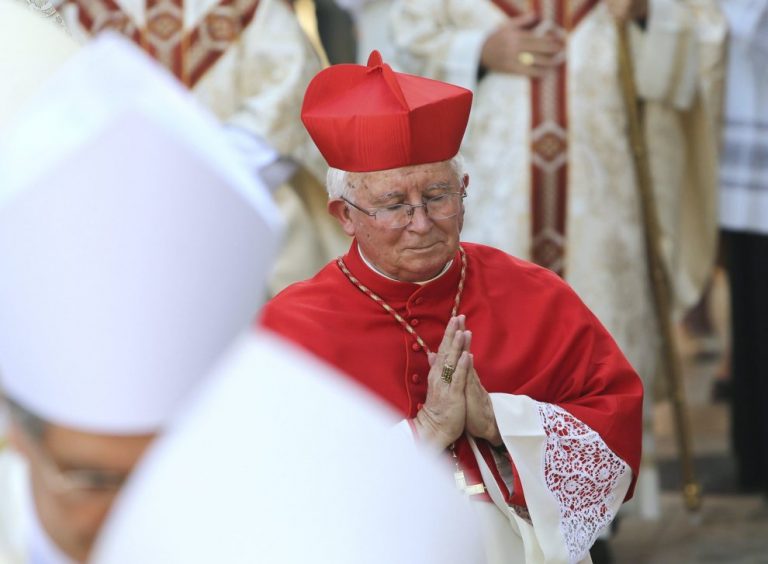 El cardenal Cañizares: «Qué decepción ver a diputados aplaudiendo una derrota del hombre como es la Ley de Eutanasia»