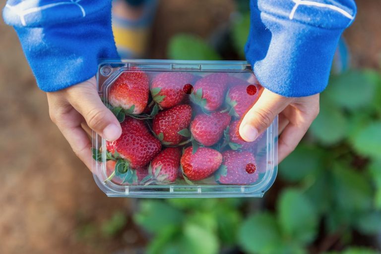 El secreto de los expertos para que las fresas duren más tiempo