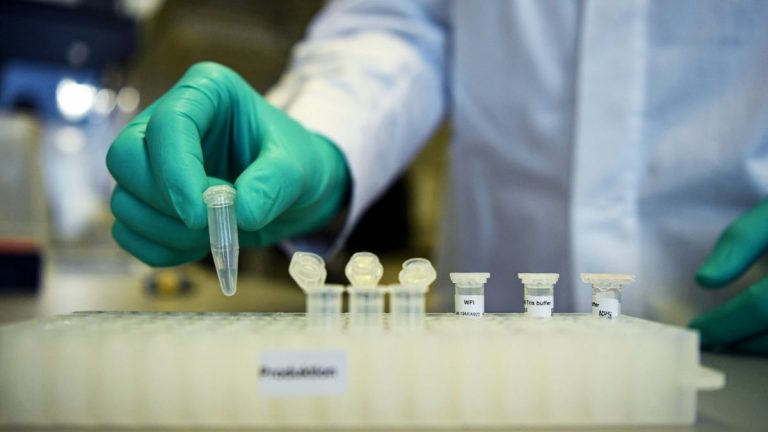 Euskadi reduce los nuevos contagios a 331 y desciende la positividad al 3,5%