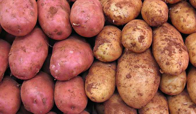 Las Papas O Patatas