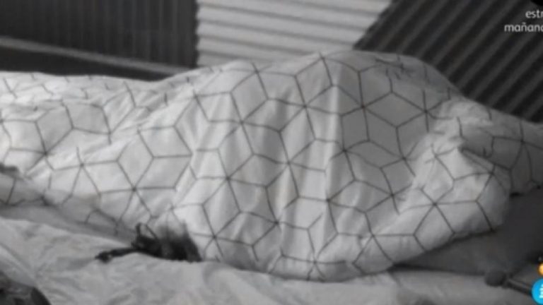 Gran Hermano, Supervivientes, La isla de las tentaciones… las veces que los ‘edredonings’ han hecho caja en Telecinco