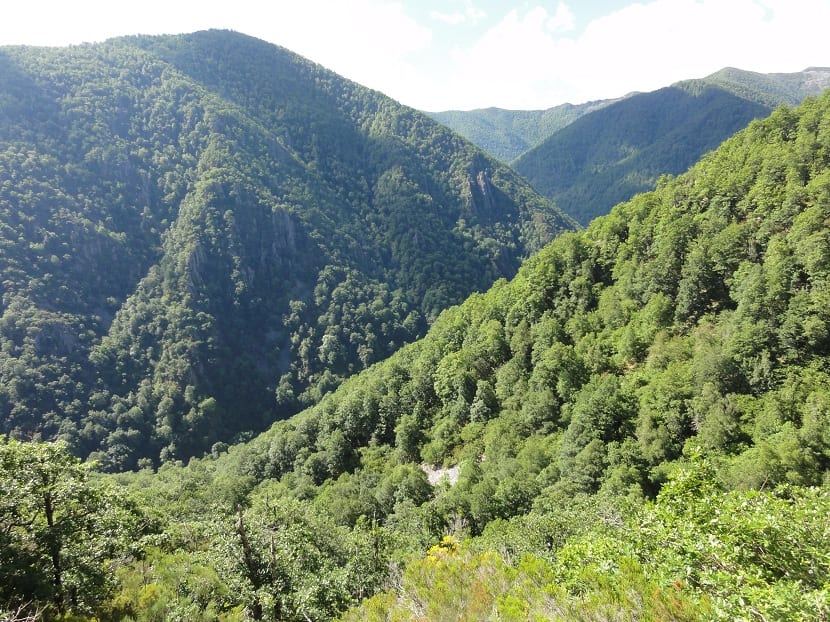 Historia De La Reserva Natural