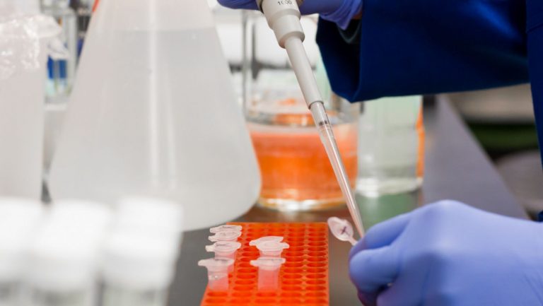 Competencia autoriza la potencial adquisición de control de Kerry Iberia sobre Biosearch