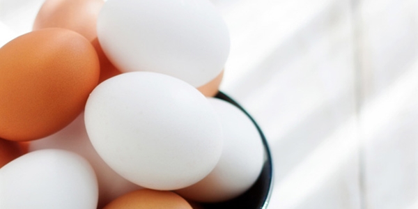 La Misteriosa Desaparición De Los Huevos Blancos 02
