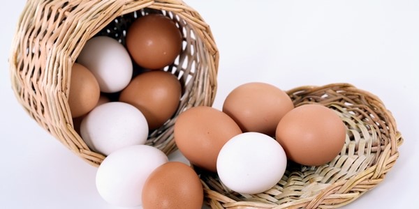 La Misteriosa Desaparición De Los Huevos Blancos 03
