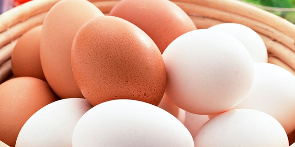 La Misteriosa Desaparición De Los Huevos Blancos 04
