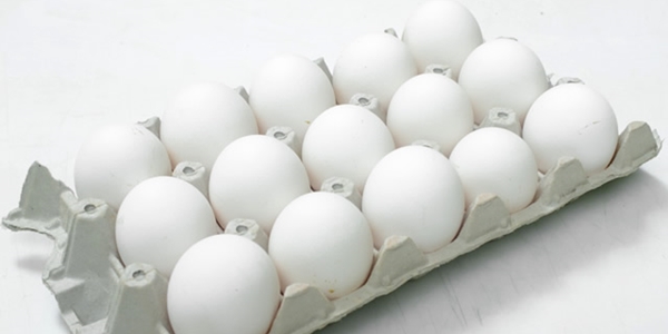 La Misteriosa Desaparición De Los Huevos Blancos 05