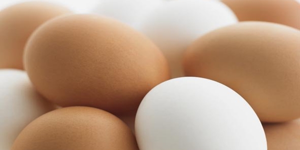La Misteriosa Desaparición De Los Huevos Blancos 06