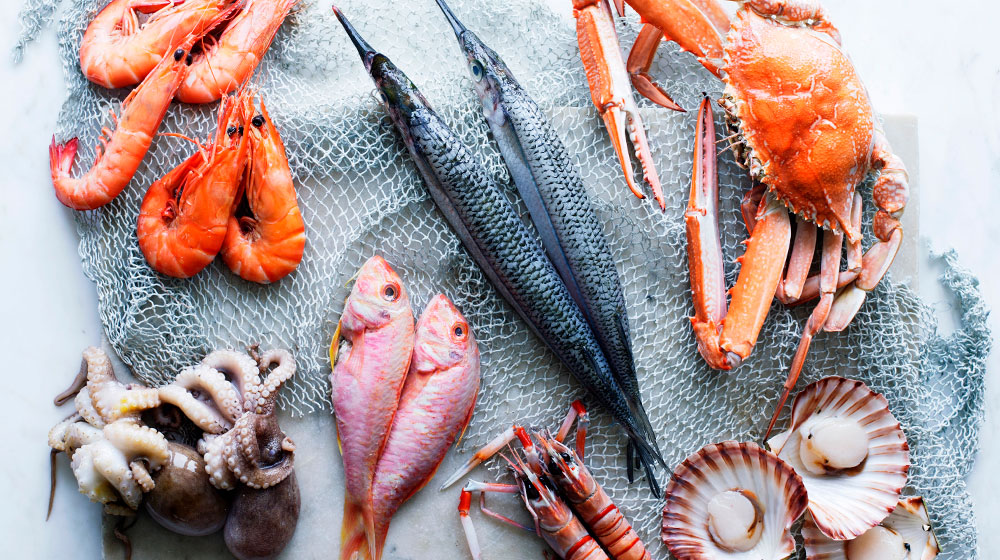 Marisco Alimentos Alergia