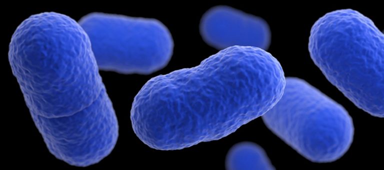 Qué es la listeriosis