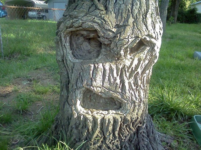 Qué es la pareidolia