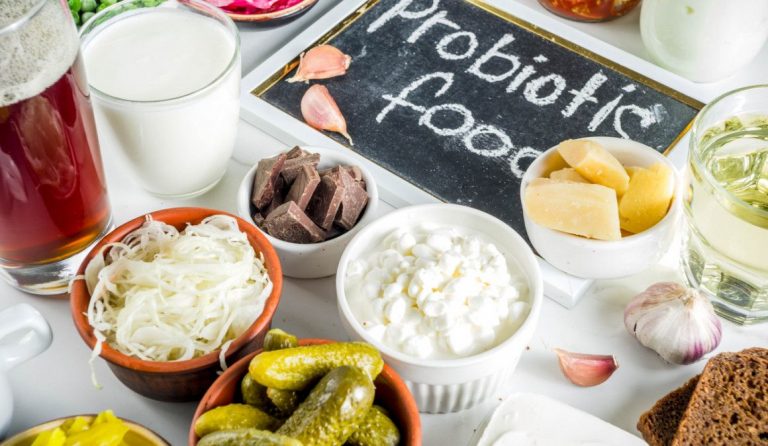 Qué son los alimentos probióticos
