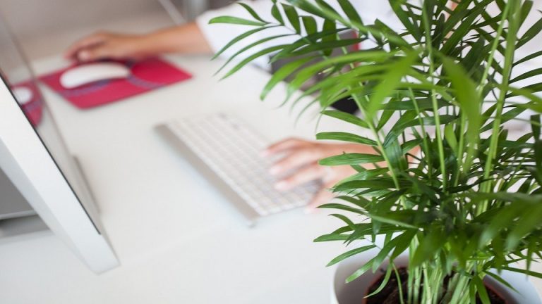 Randstad Research prevé una «recuperación moderada» del empleo en 2021