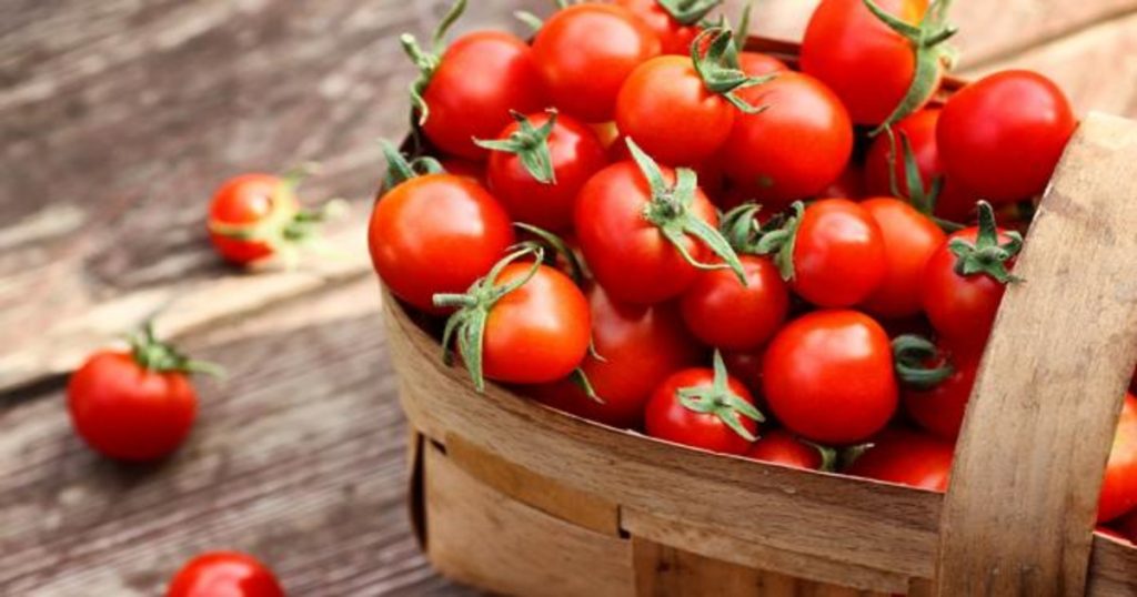 Tomates Alimentos 