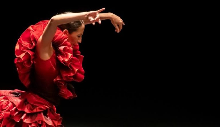 Eva Yerbabuena pide en el Parlamento andaluz ayudas a los artistas