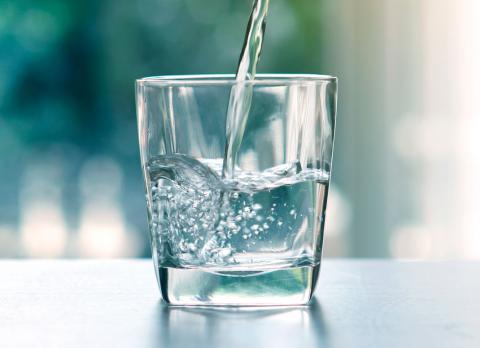 El Agua En Nuestra Dieta, Cuanta Más, Mejor
