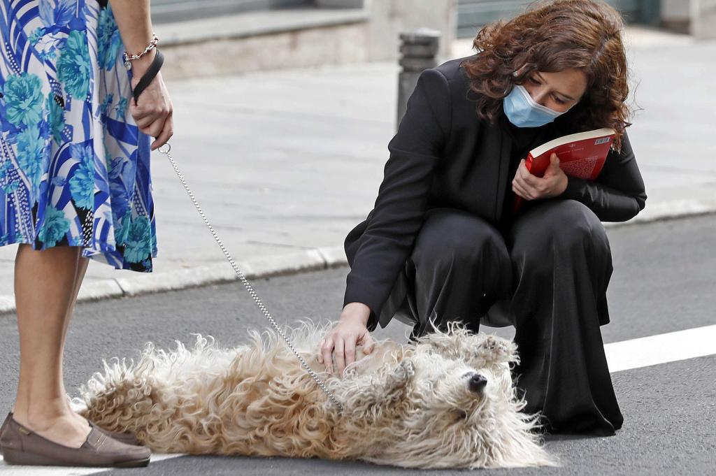 A I.d.a. Le Encantan Los Perros.